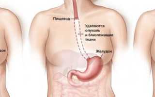 Пиометра у собак
