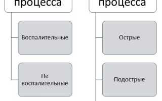 Патологии третьего века у кошек
