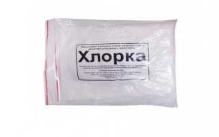 Почему кошка начинает гадить дома