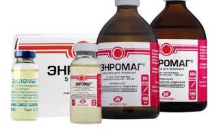 Энромаг 10%