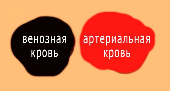 кровотечение